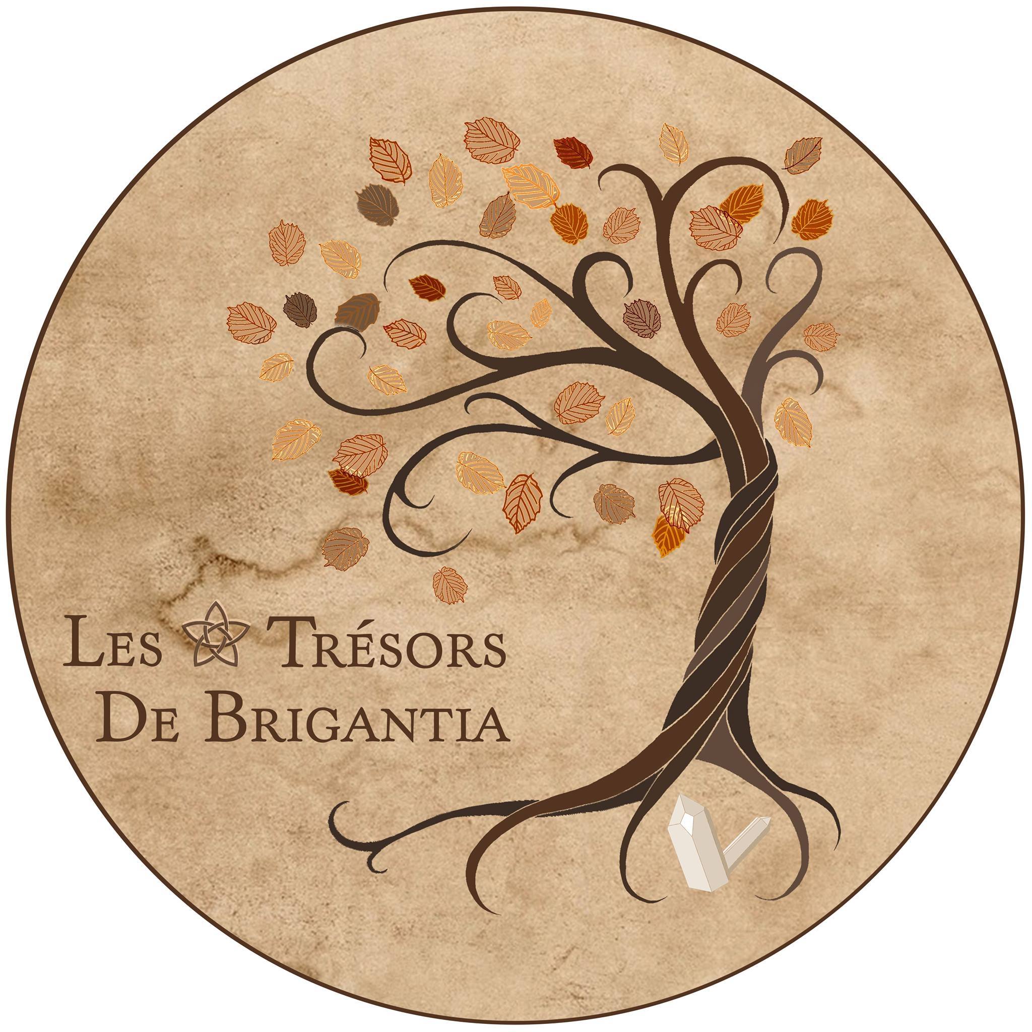 Les trésors de Brigantia